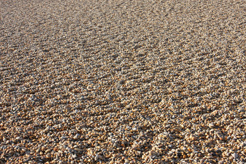 Chesil Bank