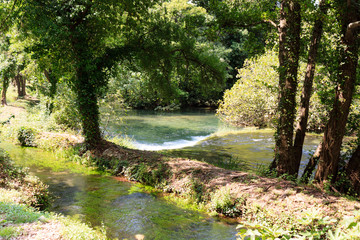 Obraz premium Fluss im Wald im Nationalpark Krka