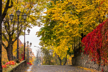 autumn cityscape after rain, with yellowed trees and street lamp