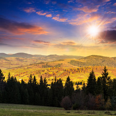 autumn hillside with red and yellow forest at sunset