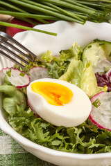 Salad with egg, radish and cucumber.