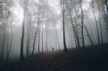 Naklejka premium man walking on a forest path