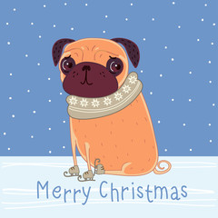 Pug in ice skating