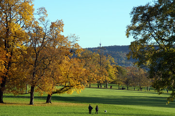 Spaziergang im Park
