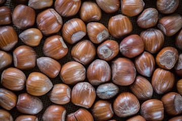 Fresh autumn hazelnuts background