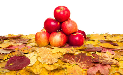 apples and autumn leaves on white