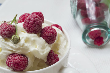milk cream frozen dessert