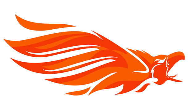 flaming Phoenix vector
