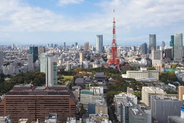 Foto op Plexiglas tokyo city view with Tokyo tower © torsakarin