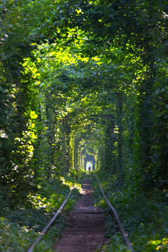 Tunnel Of Love