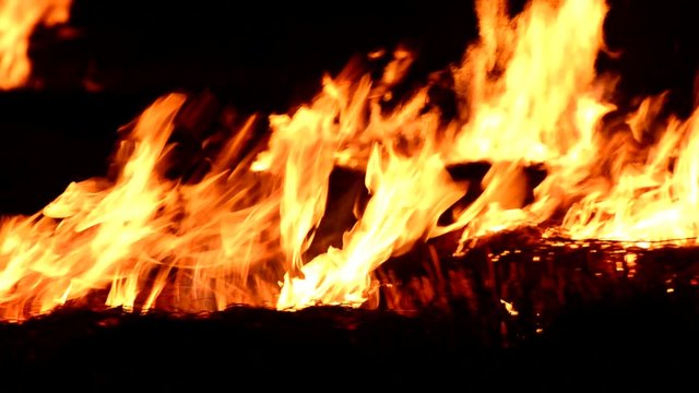burning fire flames at dark