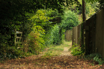 Nature summer landscape. Countryside view and rustic gate