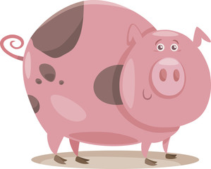 pig farm animal cartoon illustration