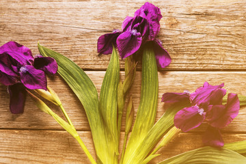 Irises flowers on wooden background