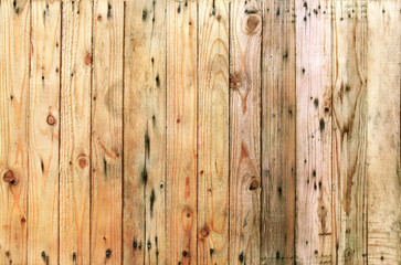 close up grain textures of arrangement bark wood in vertical row