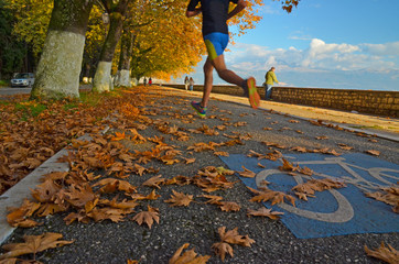 runner autumn leaves yellow trees road
