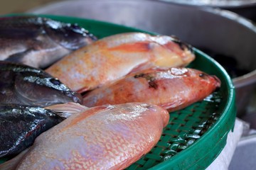 Fresh fish in the market.