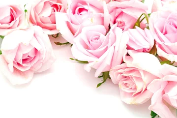 Poster de jardin Roses pink rose