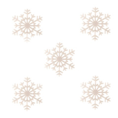 Five snowflakes isolated over white background