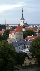 Fototapeta premium Tallinn Estonia