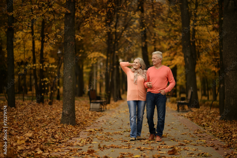 Sticker mature couple in the autumn park