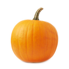 Orange pumpkin isolated