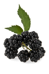 blackberry