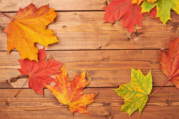 Maple leaves over the wooden boards
