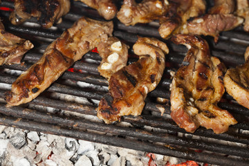 Cooking meat on a barbecue in back yard