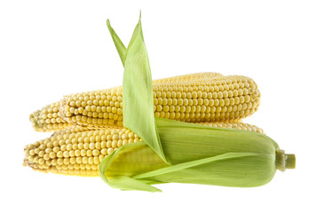 corn