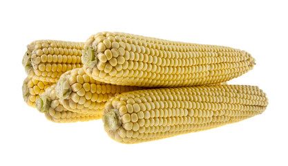 corn