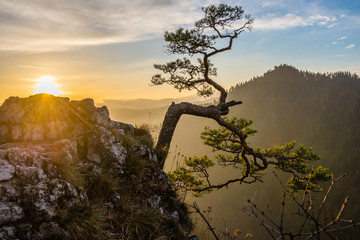 Wschód słońca na Sokolicy - Pieniny © kabat