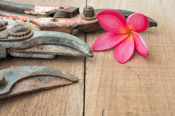 old gardening tool on table wood