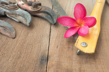 old gardening tool on table wood