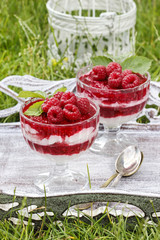 Layer raspberry dessert on garden party table.