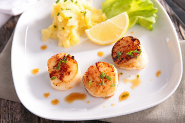 seared scallop