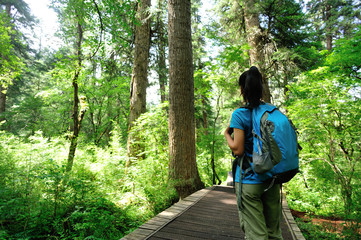 Naklejka na ściany i meble young woman tourist hiking at forest trail
