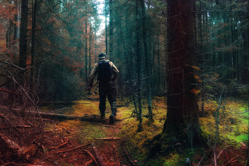 Obraz premium traveler in autumn mystical forest view from the back