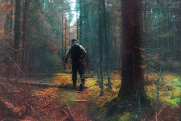 traveler in autumn mystical forest view from the back