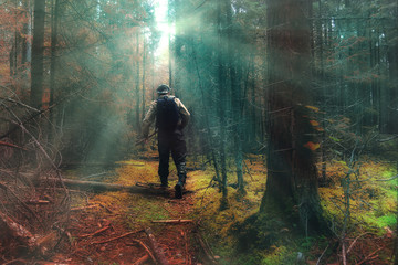 traveler in autumn mystical forest view from the back