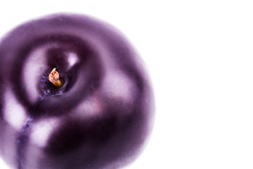 plum