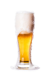 glass of beer