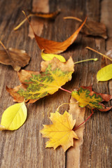 Beautiful autumn leaves on wooden background