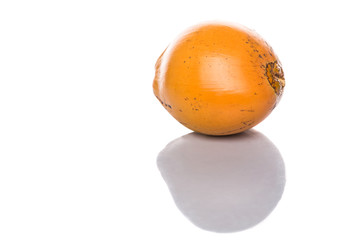 The Malayan Dwarf coconut over white background