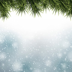 Christmas background with spruce branches.