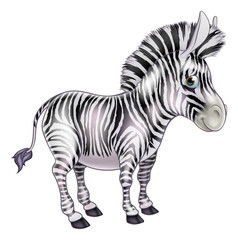 Cute cartoon zebra