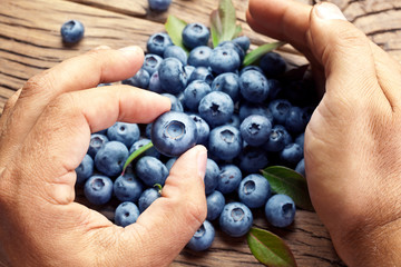 Blueberries in the man's hands.