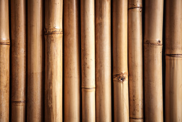 Bamboo close up, nice grunge texture