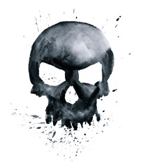 skull - 73297969