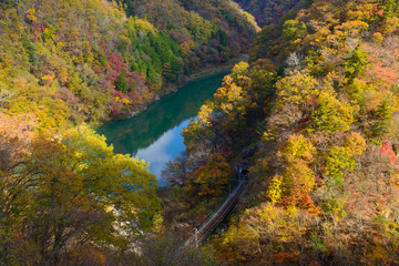 Tenryu river in Autumn, in Nagano, Japan